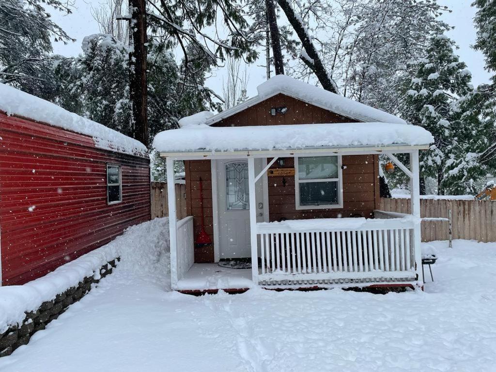 Acorn Cottage - Hidden Gem In Green Heaven, Getaway To Bass Lake & Yosemite Oakhurst Eksteriør billede